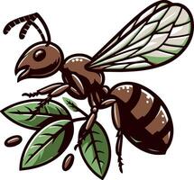 Ant silhouette and illustration with a white background. vector