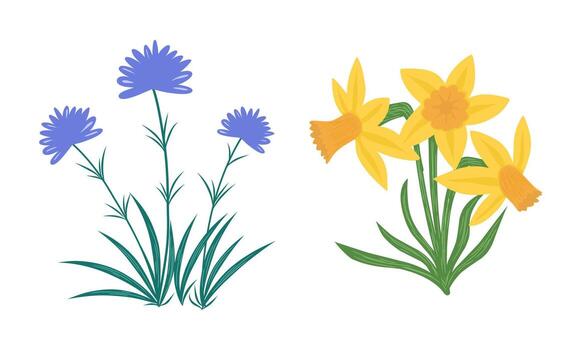 Illustration of wild flowers, garden flowers isolated on white background. vector