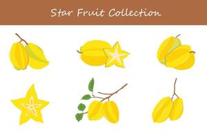 star fruit collection. star fruit in different poses vector