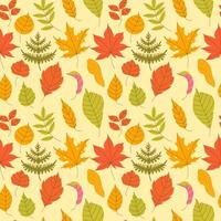 Autumn pattern with leaves vector