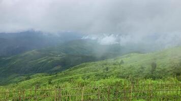 The mist flows through the mountain forest, Sun shining into tropical forest, Mist drifts through mountain ridges in the morning, slow floating fog blowing cover on the top of mountain video