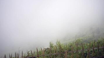 The mist flows through the mountain forest, Sun shining into tropical forest, Mist drifts through mountain ridges in the morning, slow floating fog blowing cover on the top of mountain video