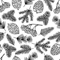 Christmas plants seamless pattern. Spruce branches, pine, fir, cones, rowan berries. Twigs of a coniferous tree, festive winter ornament. Hand drawn black and white sketch, botanical background vector