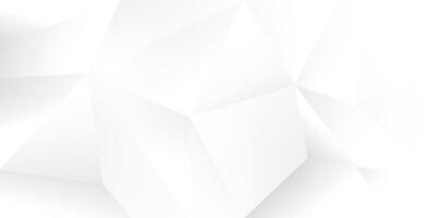 Abstract white and gray color, modern design stripes background with low poly pattern. illustration. vector