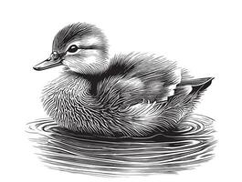 Duckling little floating hand drawn sketch illustration vector
