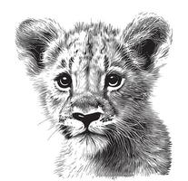 Little Lion cub face hand drawn sketch in doodle style illustration vector