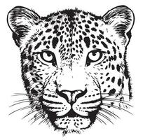 Leopard head sketch hand drawn illustration vector