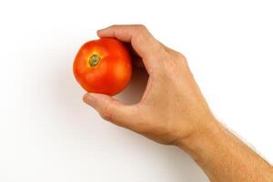Tomato in hand isolate. Vegetable holding hand. photo