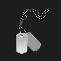 A military style dog tags with chain vector
