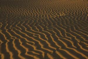 Sunset Waves of the Desert Evening Beauty Unveiled photo