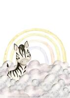 Safari watercolor hand-drawn illustration with baby zebra, clouds and rainbow for kids. Template for greeting cards or invintations vector
