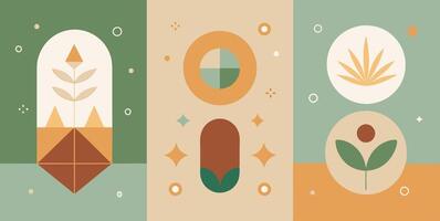 A collection of three posters featuring geometric shapes and plants vector