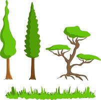 Graphic resource Drawn trees of different varieties. some regular green field grass to insert. illustration decorative natural elements for inserting trees common and mountain tree dwarf pine. vector