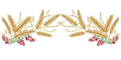 Wheat seamless border clipart combines watercolor wheat stalks with red berries, creating a charming design element for your projects. Perfect for holiday-themed designs, invitations, and crafts png