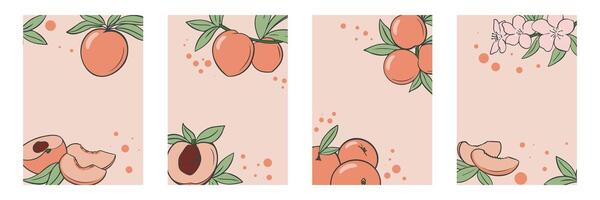 Peach fruit set with leaves and flowers on pink background vector