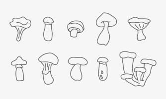 Outline mushrooms illustration. Sketch set of forest mushrooms vector