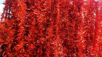 red and green colorful christmas background photo