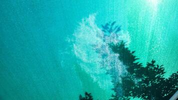 green background with shade trees photo