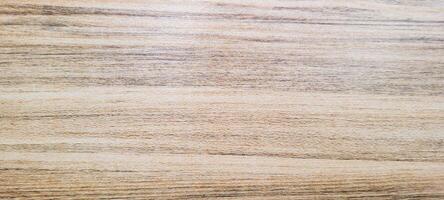 rustic old wooden log with texture photo