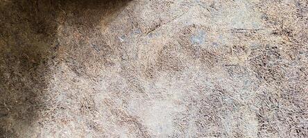 dark background with rustic texture photo
