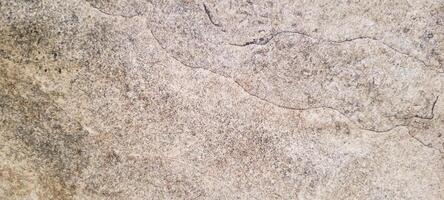 dark background with rustic texture photo