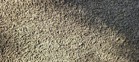 background with brown earth texture photo