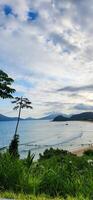 wonderful beach vita on the brazilian coast in ubatuba photo