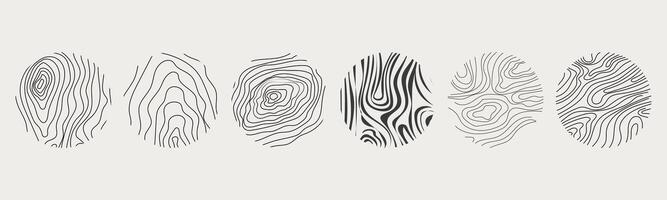 Wood texture material doodle hand drawn line. Tree trunk geometric curve and wave contour. Rings and circles. vector
