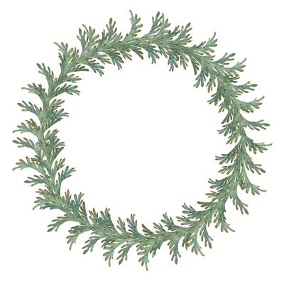 Juniper thuja conifer branches with cones. Watercolor hand drawn illustration, wreath chaplet crown frame isolated on white. Xmas cards, happy new year festive, noel navidad. Florist wedding gifts