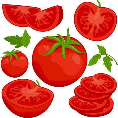 Whole and sliced ripe fresh tomatoes on white background. Ripe fresh tomato vegetables.