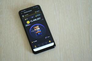 KYIV, UKRAINE - APRIL 20, 2024 Hamster Kombat telegram bot on smartphone screen. Hamster Kombat is a viral Telegram crypto game for earn HMSTR tokens by managing virtual crypto exchange photo