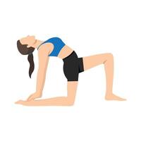 Woman doing Camel Pose Variation One Leg In Front or Ustrasana Variation One Leg In Front. vector