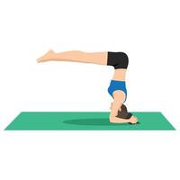 Woman doing Upward Facing Staff Pose, Half Headstand Pose or Urdhva Dandasana, Ardha Sirsasana. vector