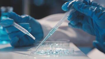 Close-up of a scientist's hands holding a flask with pink liquid in a lab. video