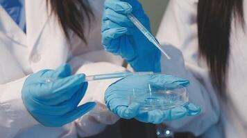 Close-up of a scientist's hands holding a flask with pink liquid in a lab. video