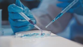 Close-up of a scientist's hands holding a flask with pink liquid in a lab. video