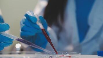 Close-up of a scientist's hands holding a flask with pink liquid in a lab. video
