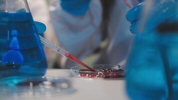 Close-up of a scientist's hands holding a flask with pink liquid in a lab. video