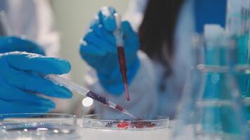 Close-up of a scientist's hands holding a flask with pink liquid in a lab. video