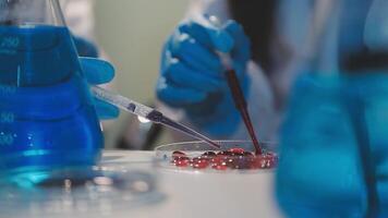 Close-up of a scientist's hands holding a flask with pink liquid in a lab. video