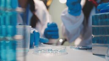 Close-up of a scientist's hands holding a flask with pink liquid in a lab. video