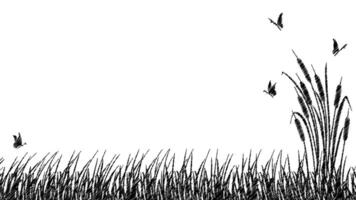 Landscape silhouette of reeds and marsh grass. Sketch of cattail landscape with butterflies vector