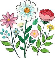 A Drawing of A Summer flower collection vector