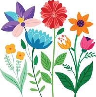A Drawing of A Summer flower collection vector