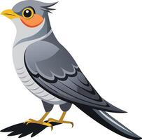 A Cuckoo Bird art illustration vector
