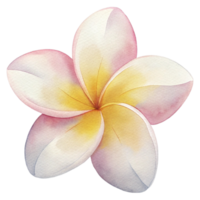 aigenerated watercolor of a flower Plumeria png
