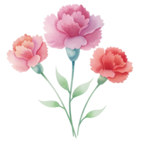 aigenerated watercolor drawing of a canations png