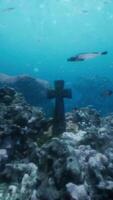 ancient cross submerged necropolis element video