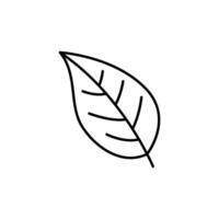 Black line leaf icons on white background vector