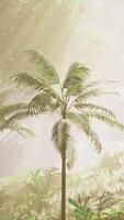 Verdant Canopy, A Lush Symphony of Infinite Green in the Enchanting Jungle video